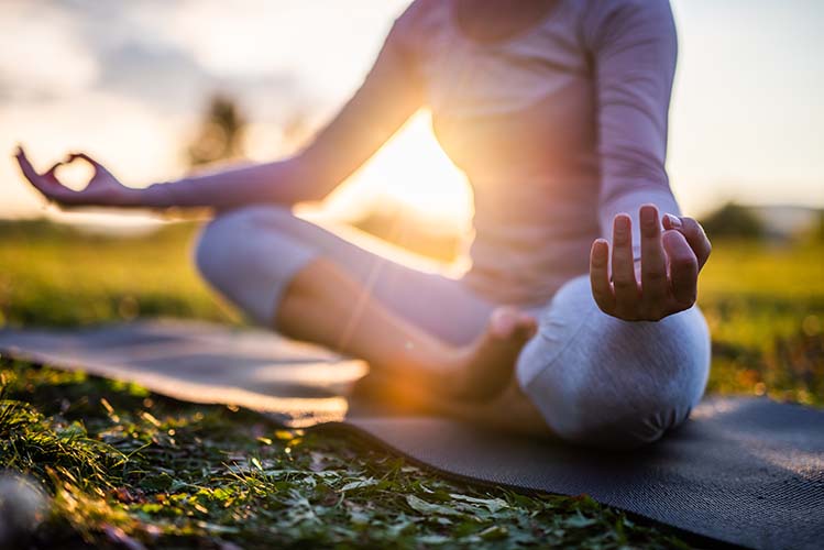 Stress Resilience